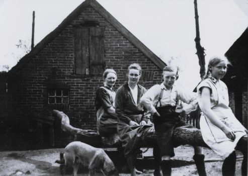 <br>um 1931