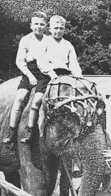 <br>um 1934