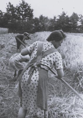 <br>um 1942