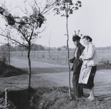 <br>um 1964
