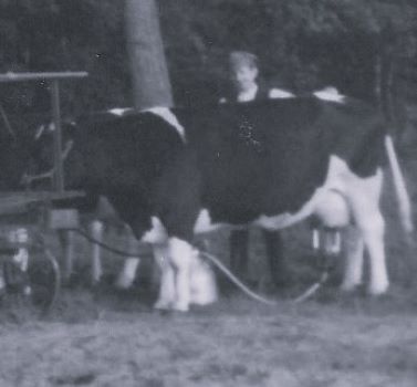 <br>um 1975