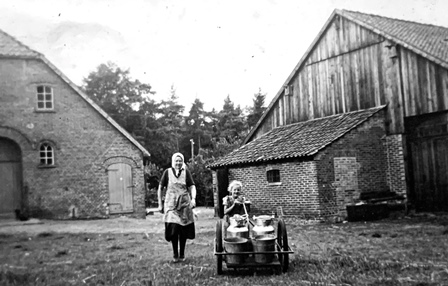 <br>um 1952