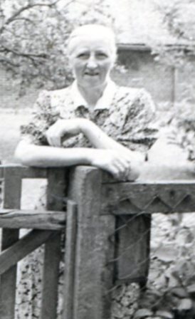 <br>um 1950