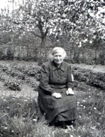 <br>um 1955